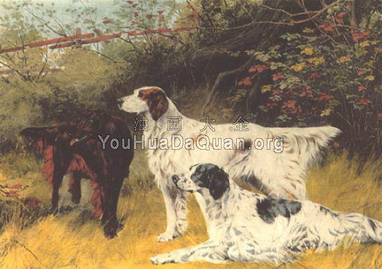 English Setters and Gordon Setters - 托马斯·布林克斯